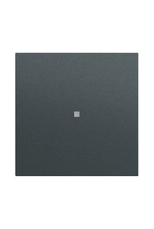 GIRA Wippe gerade Kontrollf. System 70 Anthra zit(lack.)
