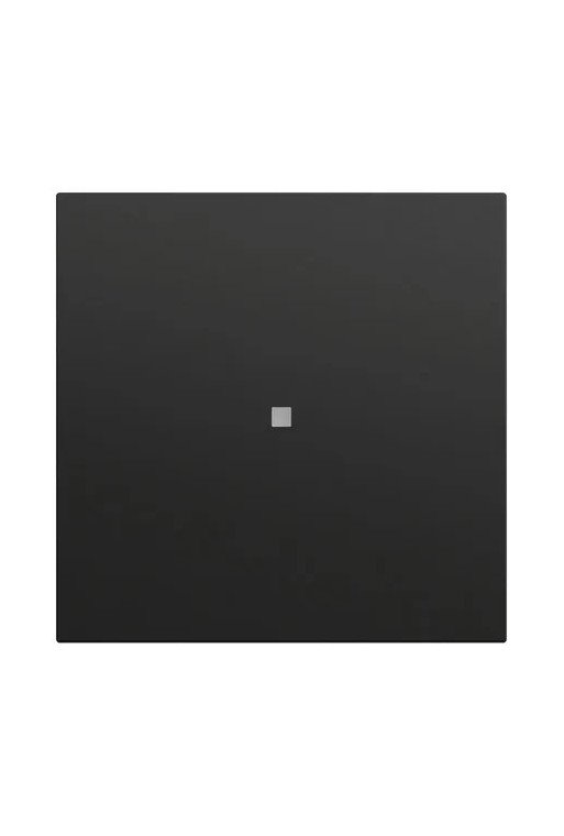 GIRA Wippe gerade Kontrollf. System 70 Schwar z m(lack.)
