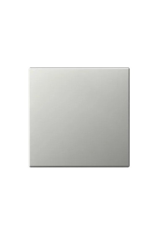 GIRA Wippe gerade System 55 Edelstahl