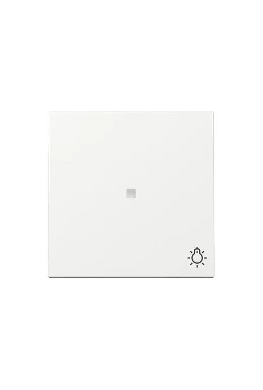 GIRA Wippe Kontrollf. + Symb. Licht System 55 Reinweiß