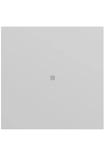 GIRA Wippe Kontrollf. System 70 Grau m(lack.)