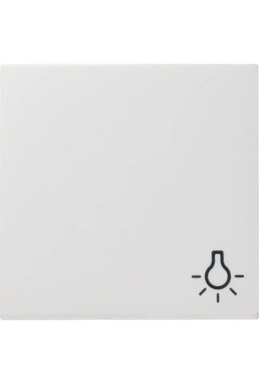 GIRA Wippe mit Symbol Licht System 55 reinweiß glänzend