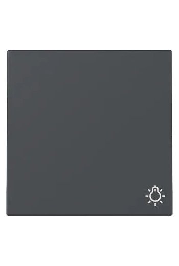 GIRA Wippe Symb. Licht System 55 Anthrazit