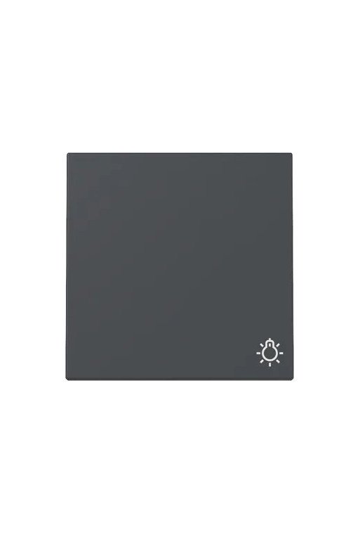GIRA Wippe Symb. Licht System 55 Anthrazit