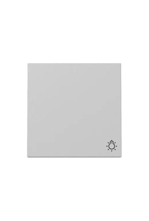 GIRA Wippe Symb. Licht System 55 Grau m