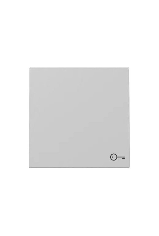 GIRA Wippe Symb. Tür System 55 Grau m