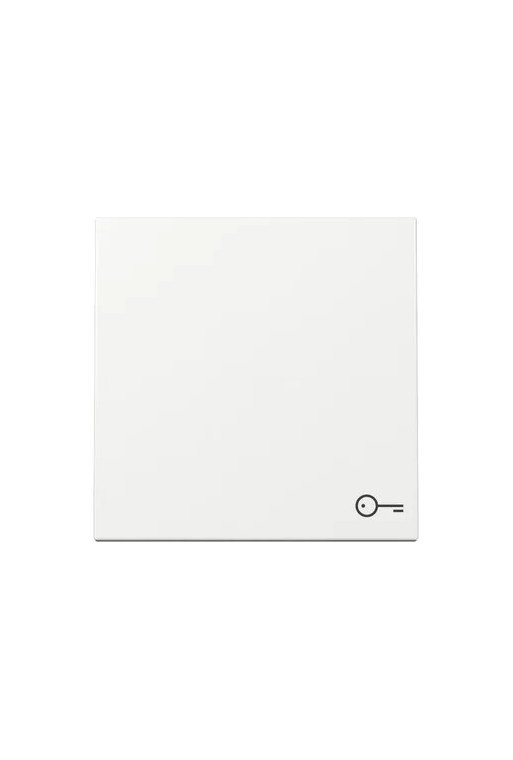 GIRA Wippe Symb. Tür System 55 Reinweiß