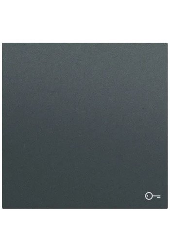 GIRA Wippe Symb. Tür System 70 Anthrazit(lack .)