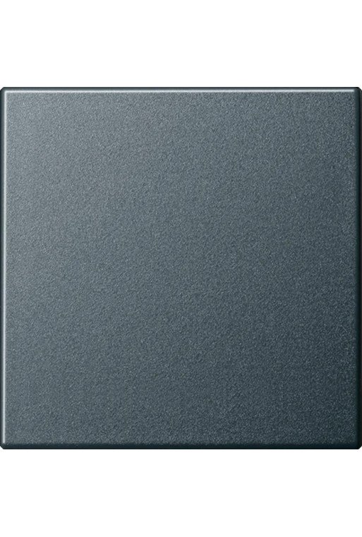 GIRA Wippe System 55 anthrazit