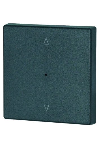 EATON Wippe 1-fach