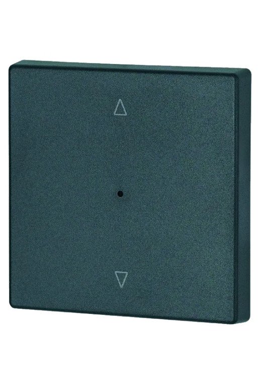 EATON Wippe 1-fach