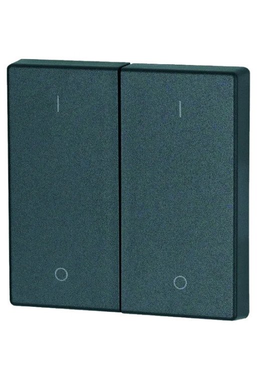 EATON Wippe 2-fach