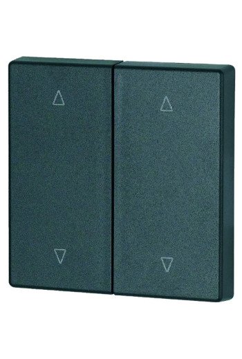 EATON Wippe 2-fach