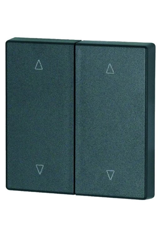EATON Wippe 2-fach