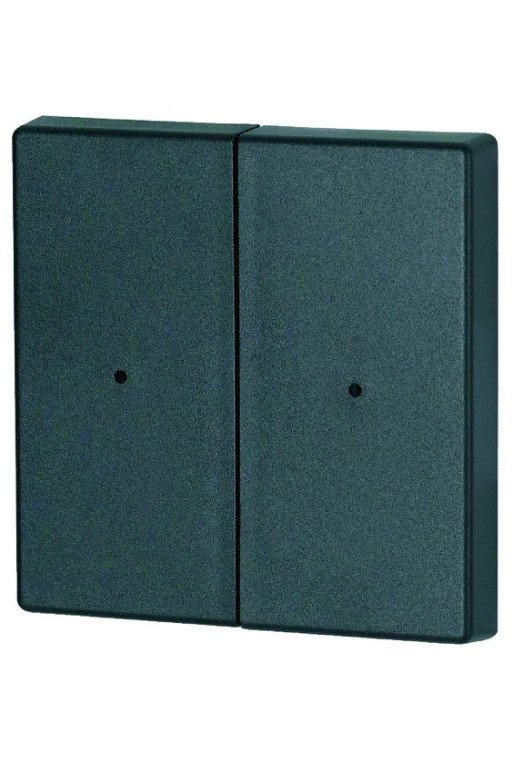 EATON Wippe 2-fach