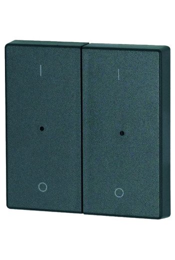 EATON Wippe 2-fach