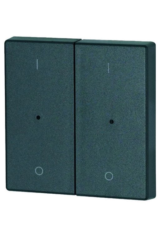 EATON Wippe 2-fach