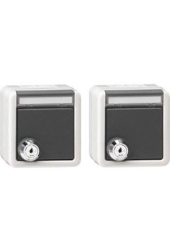 GIRA Set 2x SCHUKO KD Schloss gleich + BSF WG AP Grau