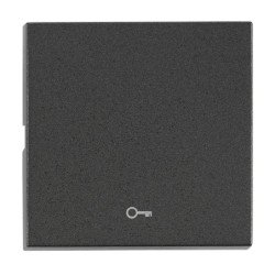 Wippe S 50 mit Symbol Schlüssel