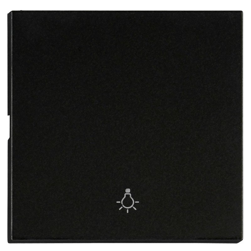 Wippe S 55 mit Symbol Licht