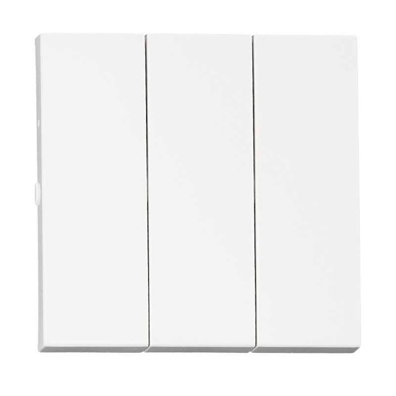 Wippe S 55 für Ausschalter 3 fach