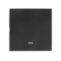 Wippe S 55 mit Symbol Schlüssel