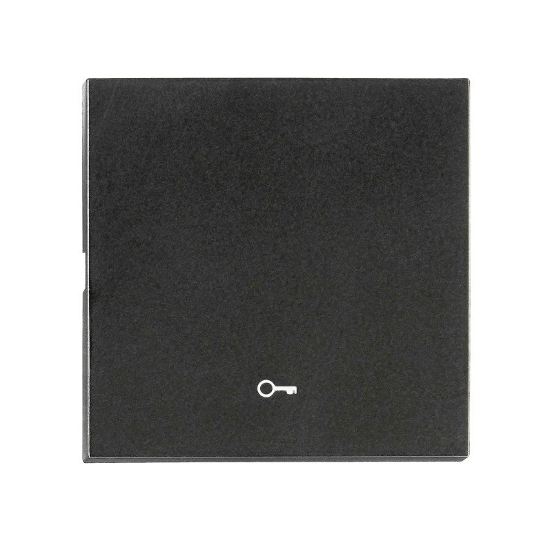 Wippe S 55 mit Symbol Schlüssel