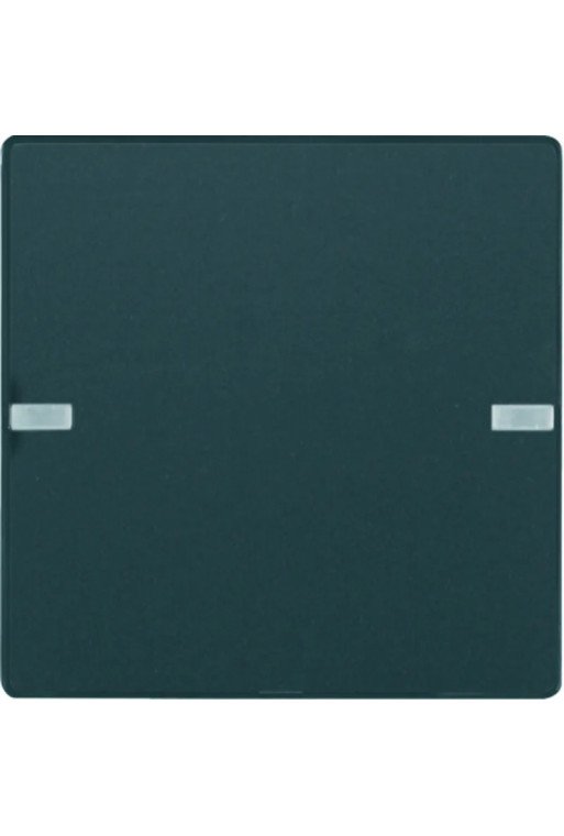 BERKER KNX Q.x Tastsensor 1fach Komfort anthrazit samt