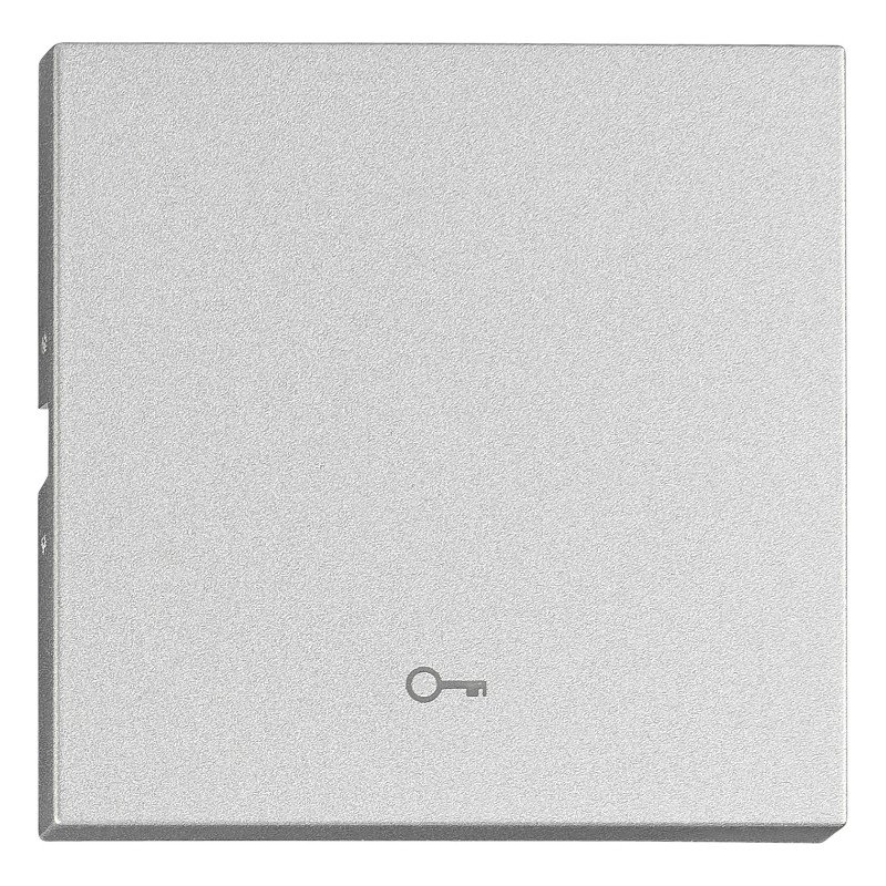 Wippe S 55 mit Symbol Schlüssel