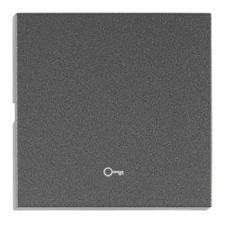 Wippe S 55 mit Symbol Schlüssel