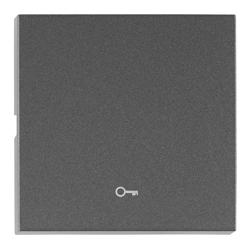 Wippe S 55 mit Symbol Schlüssel