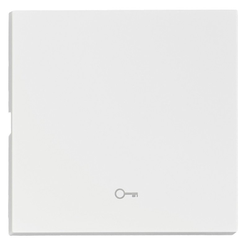 Wippe S 55 mit Symbol Schlüssel