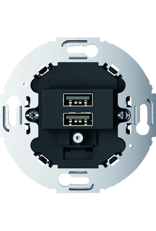 BERKER USB-Ladesteckdose 230 V