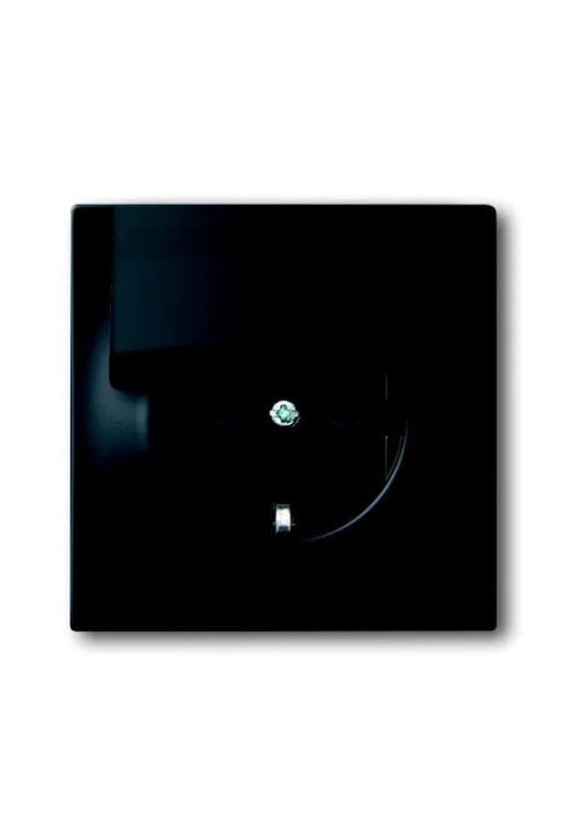 BUSCH-JAEGER IMP Schuko-STD+D 20 EUK-775