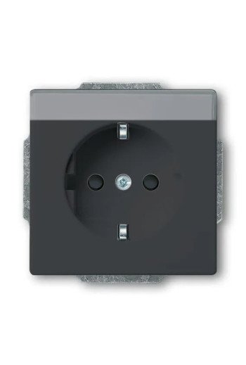 BUSCH-JAEGER SCHUKO®-Std eBs bes 20 EUCNB-81