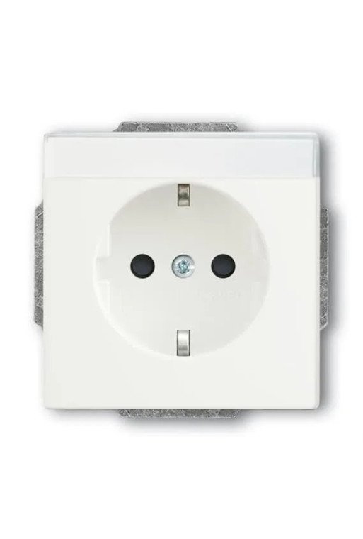 BUSCH-JAEGER SCHUKO®-Std eBs bes 20 EUCNB-884
