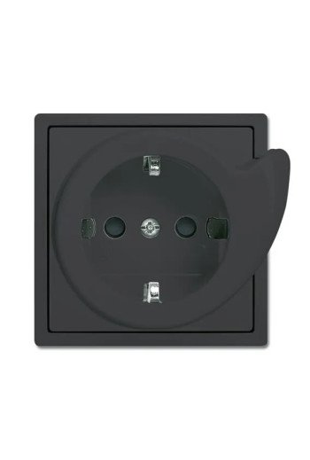 BUSCH-JAEGER SCHUKO®-Std eBs Dreh 20 EUCBDR-81