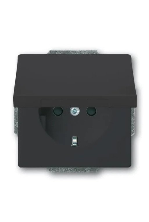 BUSCH-JAEGER SCHUKO®-Std eBs Kl 20 EUKB-81