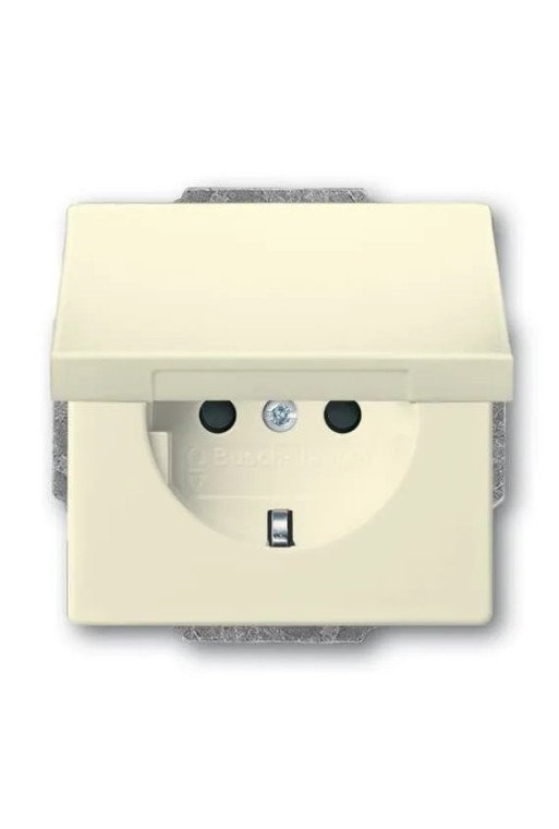 BUSCH-JAEGER SCHUKO®-Std eBs Kl 20 EUKB-82