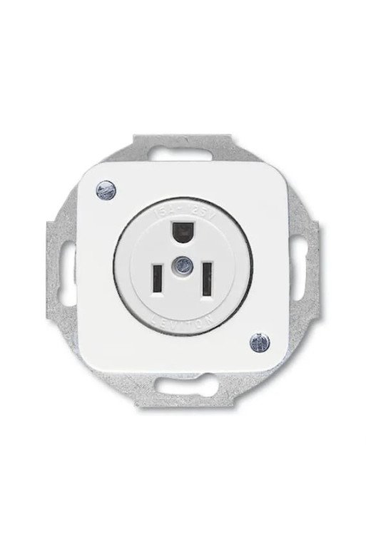 BUSCH-JAEGER Steckdose Nema R-SI 3015 EUC-214