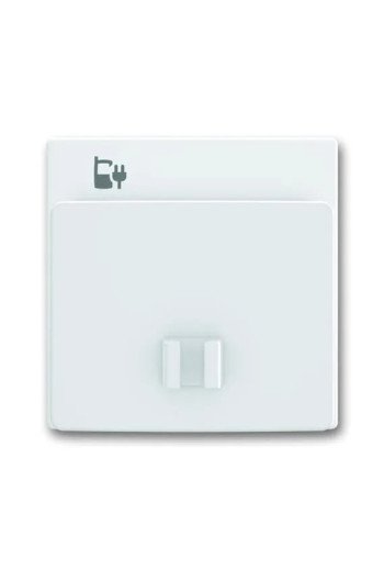 BUSCH-JAEGER Zentralsch f. USB-Ladest 6478-84