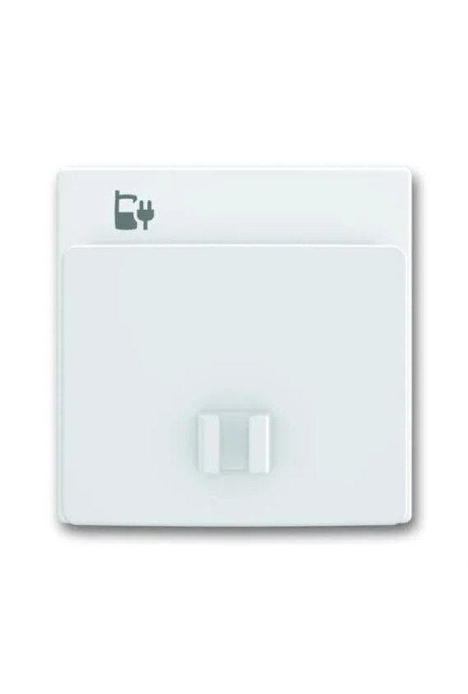 BUSCH-JAEGER Zentralsch f. USB-Ladest 6478-84