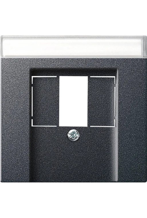 GIRA Abd. BSF TAE USB System 55 Anthrazit