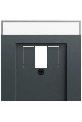 GIRA Abd. BSF TAE USB System 70 Anthrazit(lac k.)