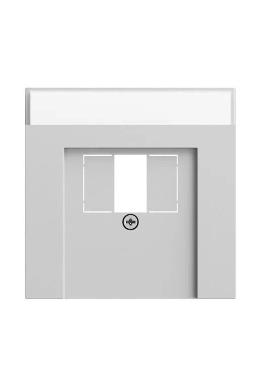 GIRA Abd. BSF TAE USB System 70 Grau m(lack.)