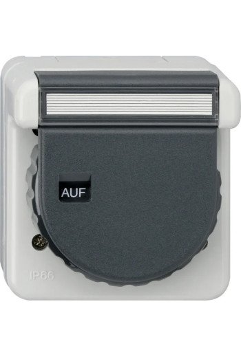 GIRA SCHUKO KD Bajonett + BSF WG AP Grau