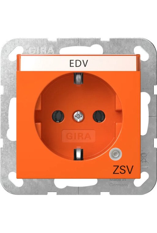 GIRA SCHUKO Kontroll GN + BSF ZSV System 55 O range