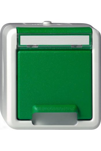 GIRA SCHUKO-Steckd. KD + BSF WG AP Grün